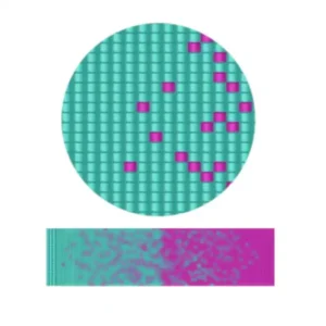 Perlenweben Muster35.2-Raster von Quadraten, die in einem visuell ansprechenden Muster angeordnet sind.