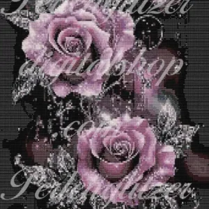 webenbild5-rosarosen-2-offene-rosa-rosen-von-oben-die-blätter-silbrig-glänzend-auf-schwarzem-hintergrund.