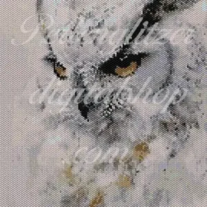 peyotebild56-Eule-Muster einer Eule mit auffälligem, großem Auge, das die Schönheit des Vogels hervorhebt.